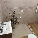 Szarkalab * Hajdúszoboszló